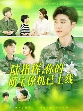 陆指挥,你的萌宝僚机已上线