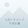 跨境擂台
