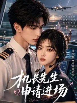 机长先生,申请进场