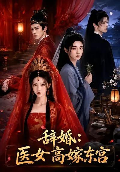 辞婚:医女高嫁东宫