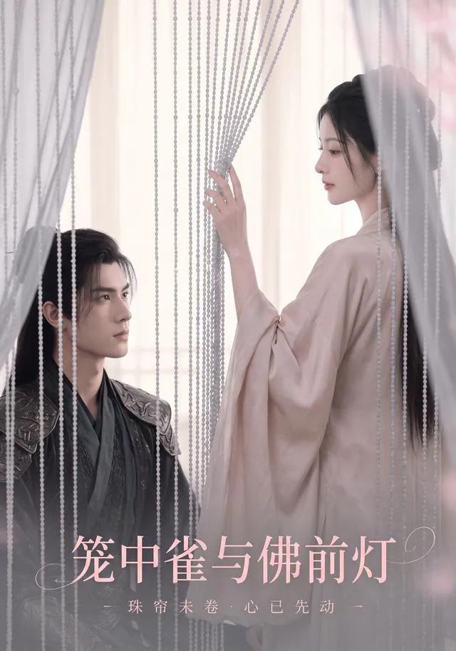 笼中雀与佛前灯