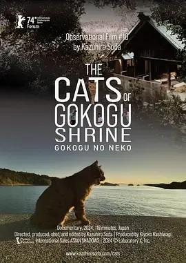 五香宫的猫